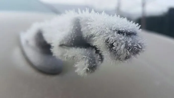 El jaguar de mi coche tiene pelaje helado