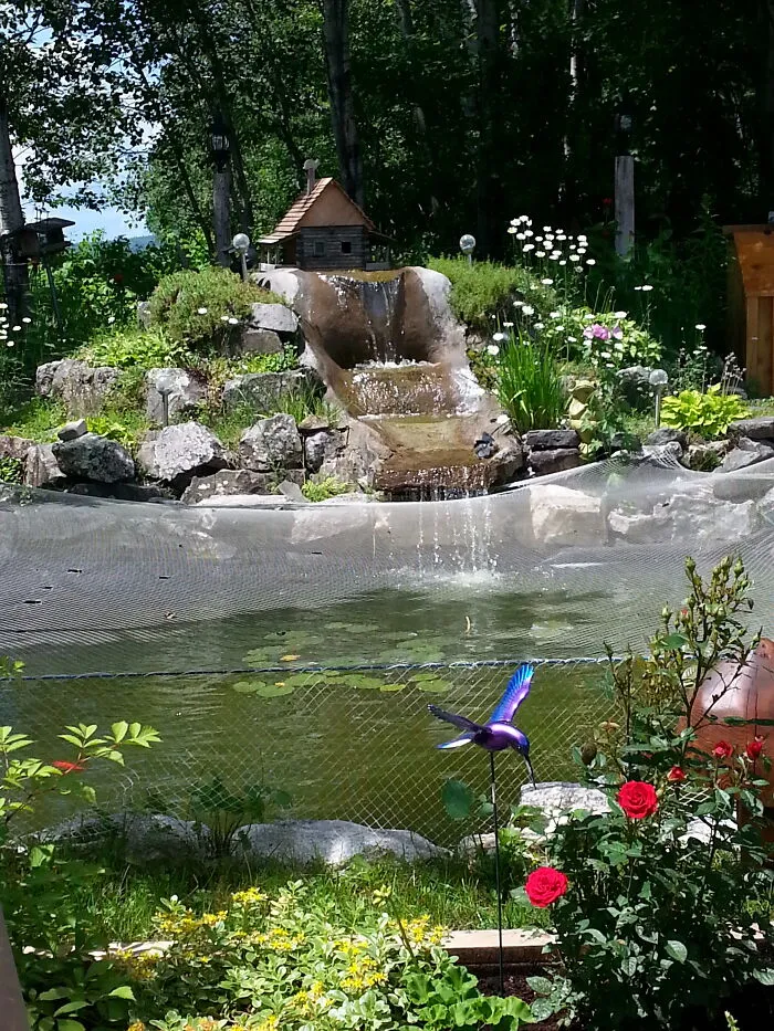 My Garden/Back Yard