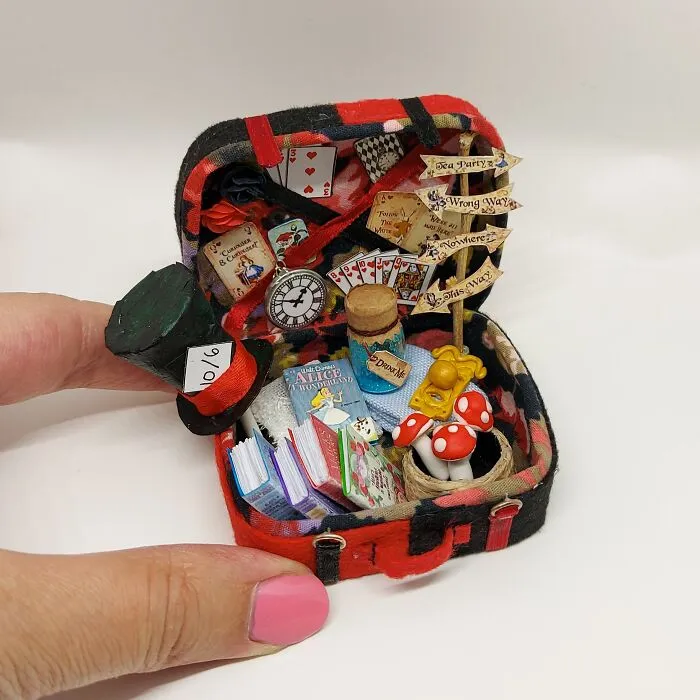 Alice's Suitcase