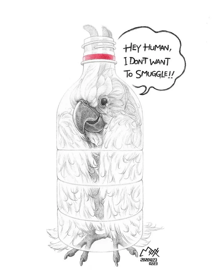 24 New Uncomfortable Illustrations This Artist Created About Animal Cruelty