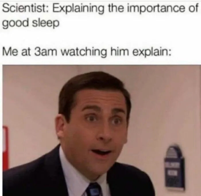 People Are Cracking Up At These 30 Memes That Came From The TV Series "The Office"