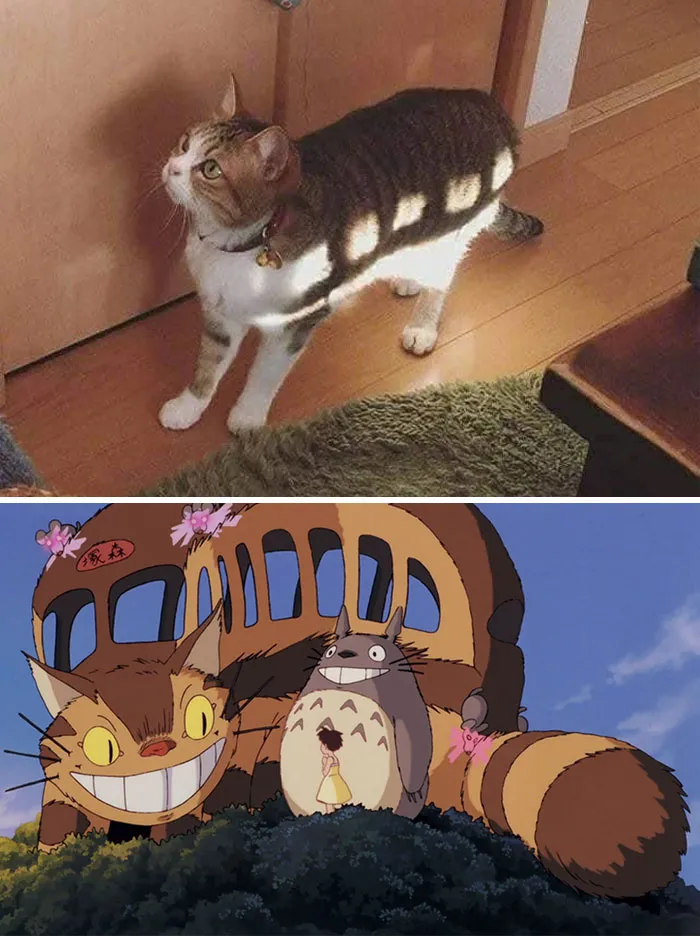 20 Divertidos memes para los fans de Studio Ghibli