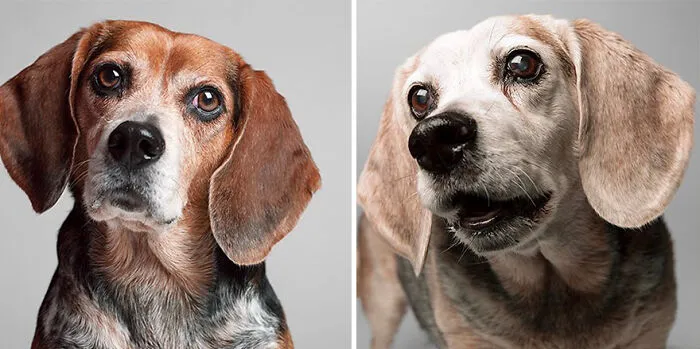 Shumacher - 2006 And 2014
