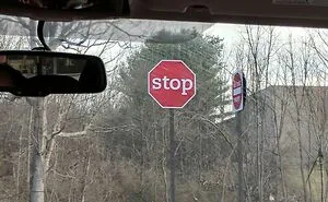 ‘Mildly Interesting’: 50 Images To Amuse You Just Slightly (New Pics)
