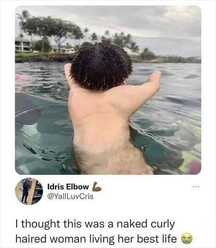 11M People Follow This Meme Page Called “Men’s Humor”, And Here Are 40 Of The Best Ones (New Pics)