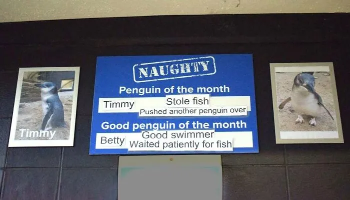 This Facebook Page Shares The Most Hilarious Signs And Here Are 50 Of Them