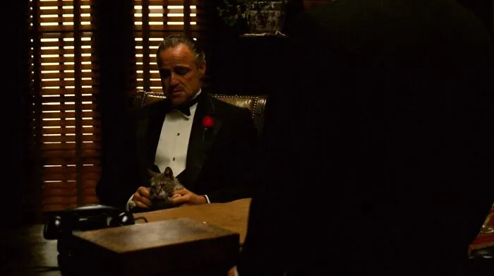 62 Most Iconic The Godfather Quotes