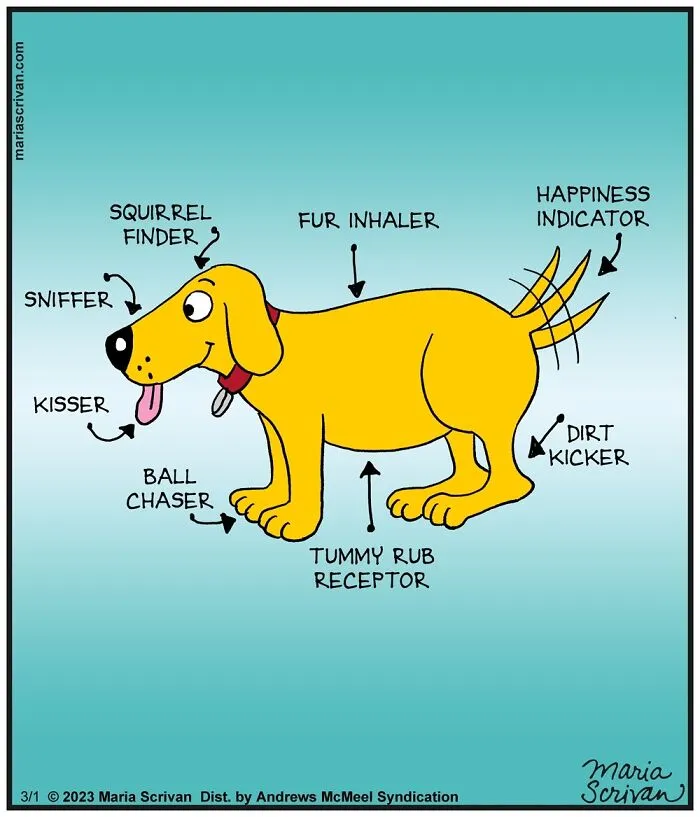 Lighthearted Comics: 30 Funny Situations Illustrated By This Artist (New Pics)