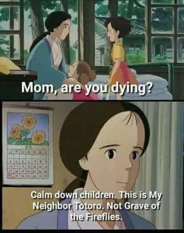 30 Funny Memes To Send To Your Studio Ghibli-Obsessed Friends