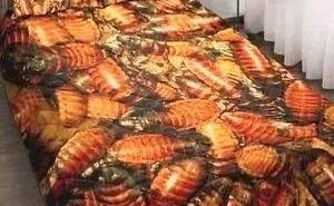 30 Nightmare-Inducing Pics Of Terrifying Bedrooms, As Shared On This Hilarious Facebook Group (New Pics)