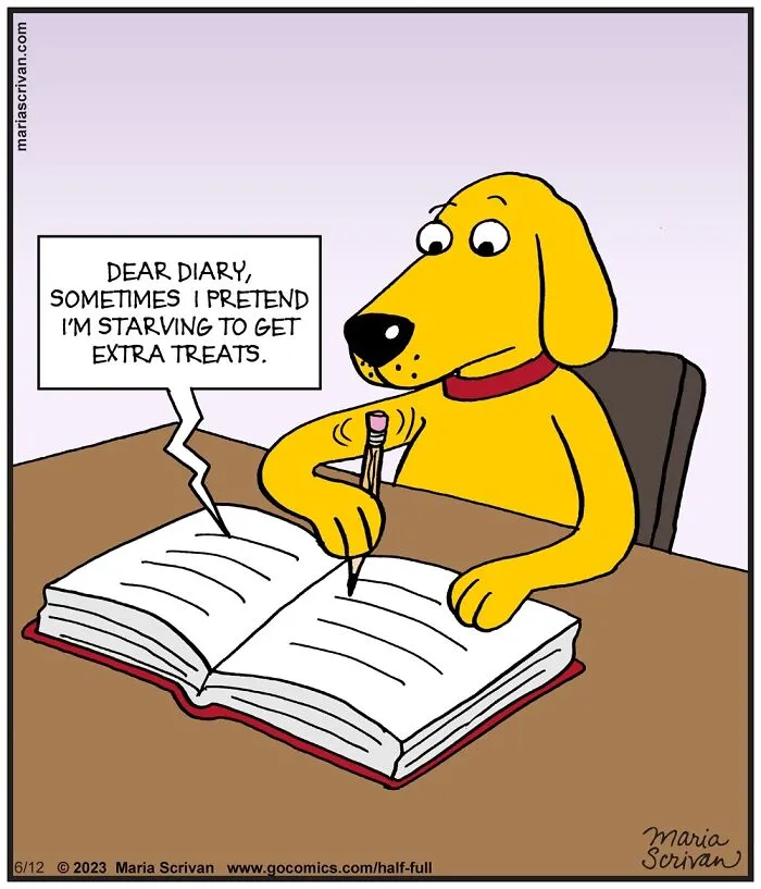 Lighthearted Comics: 30 Funny Situations Illustrated By This Artist (New Pics)