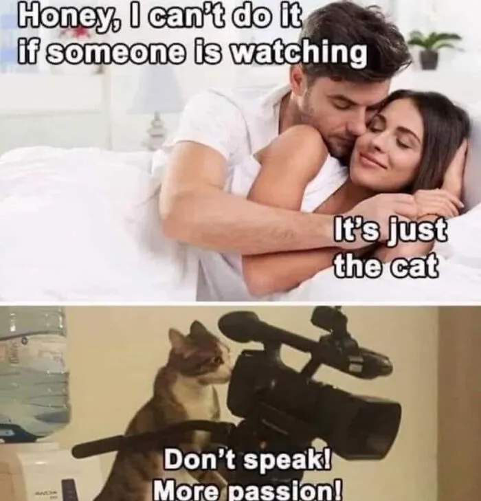 30 Oddly Specific Movie And TV Show Set Memes That Not Everyone Will Get