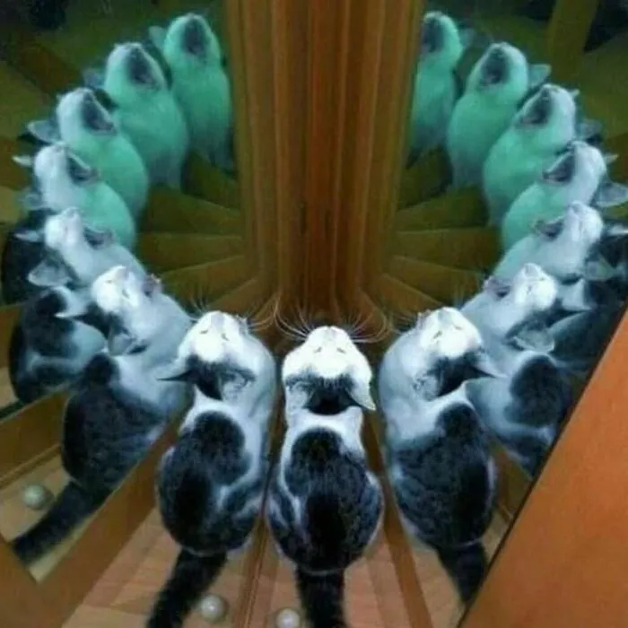 45 'Cursed Images' That Might Make You Facepalm Or Laugh, As Shared On This Facebook Page