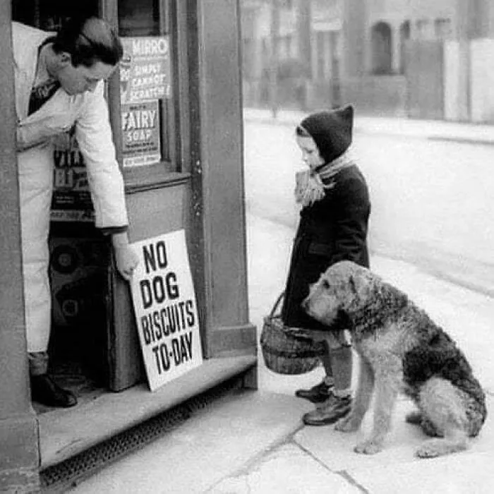 "No Dog Biscuits To-Day" A Sad Dog With Its Owner In London, 1939