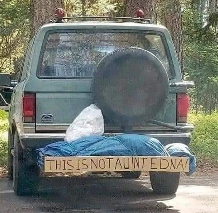 50 Of The Best Rare And Unusual And Funny Signs