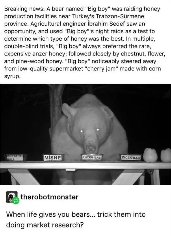 'The Worst Of Tumblr': 50 Of The Funniest Posts People Found On This Unique Platform