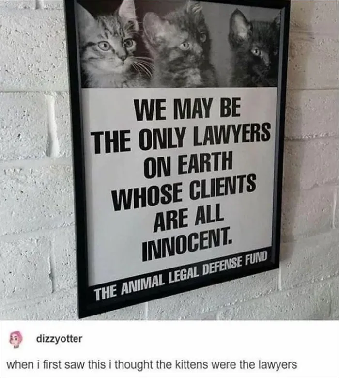 'The Worst Of Tumblr': 50 Of The Funniest Posts People Found On This Unique Platform