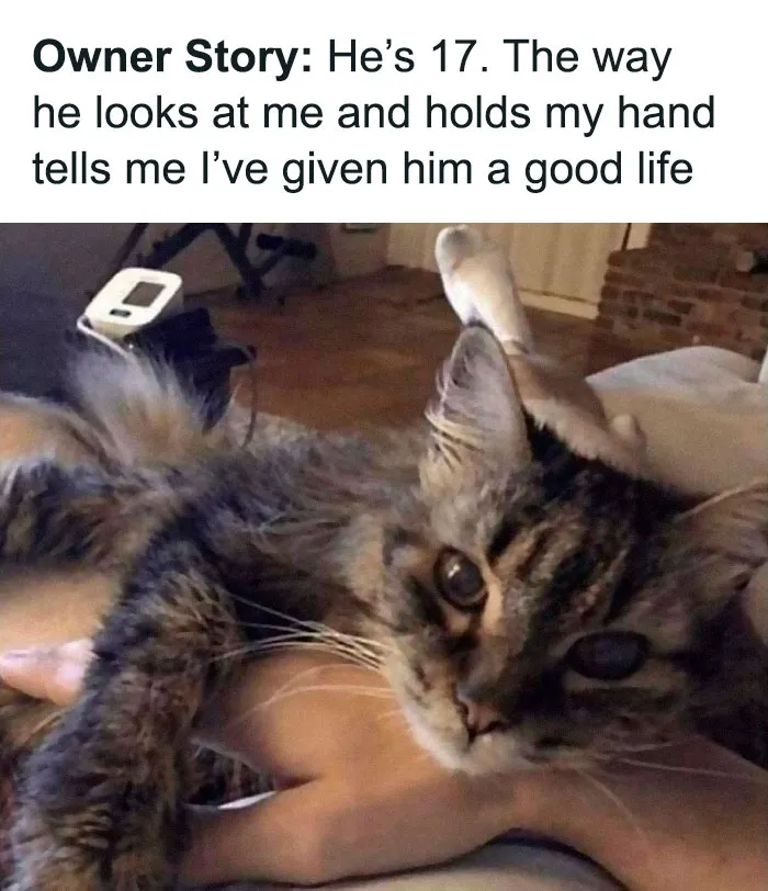 'The Worst Of Tumblr': 50 Of The Funniest Posts People Found On This Unique Platform