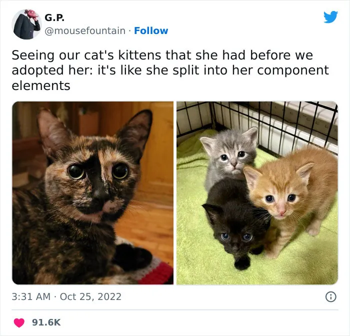 'The Worst Of Tumblr': 50 Of The Funniest Posts People Found On This Unique Platform