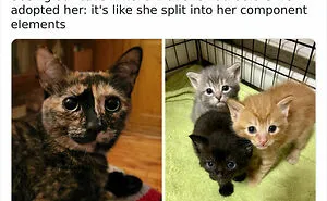 'The Worst Of Tumblr': 50 Of The Funniest Posts People Found On This Unique Platform