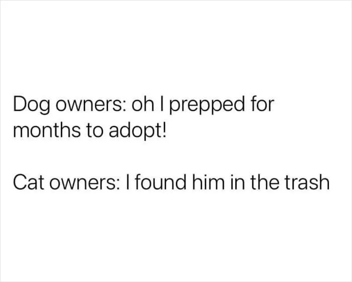 'The Worst Of Tumblr': 50 Of The Funniest Posts People Found On This Unique Platform