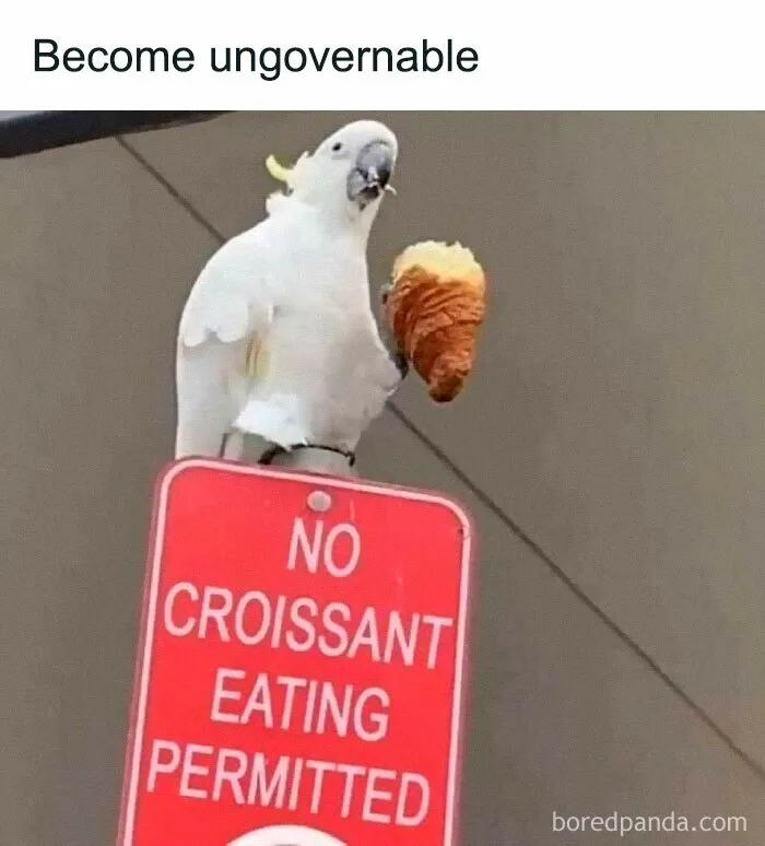 40 Posts To Welcome You Into ‘The Weird Side Of The Internet’
