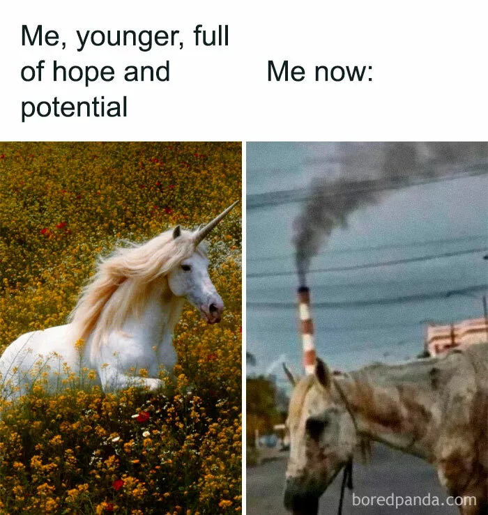 40 Posts To Welcome You Into ‘The Weird Side Of The Internet’