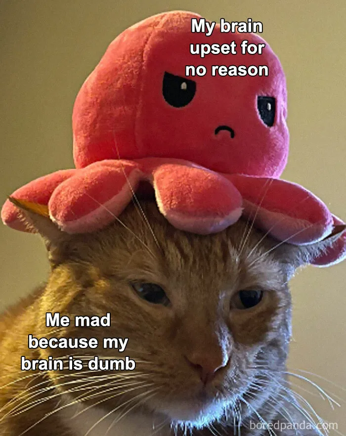 40 Posts To Welcome You Into ‘The Weird Side Of The Internet’