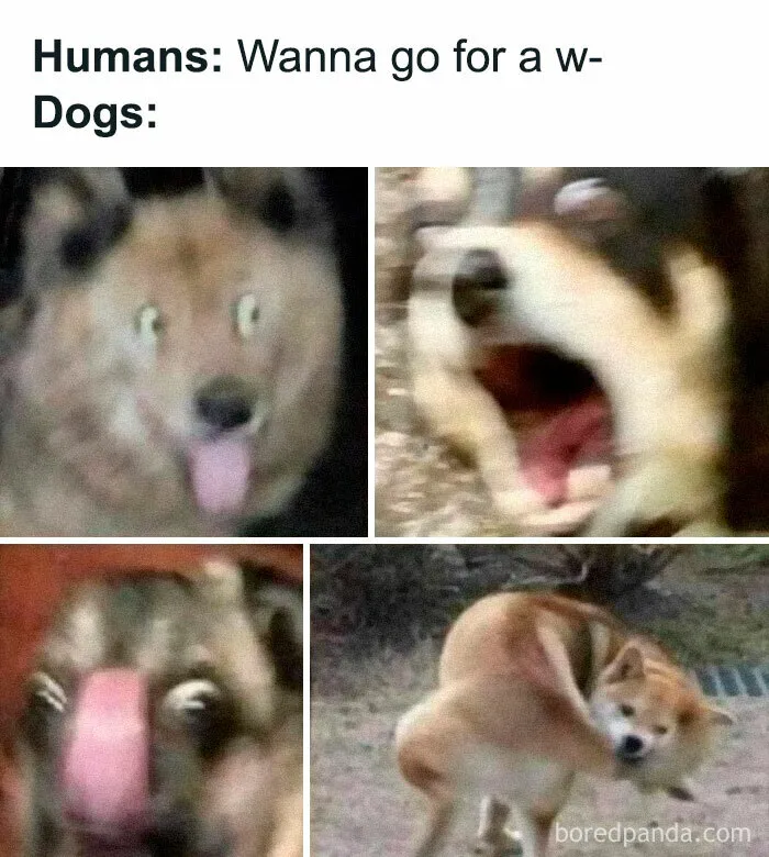 40 Posts To Welcome You Into ‘The Weird Side Of The Internet’