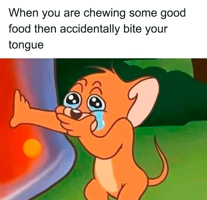 60 Tom & Jerry Memes That You Can Relate To