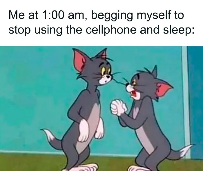 60 Tom & Jerry Memes That You Can Relate To