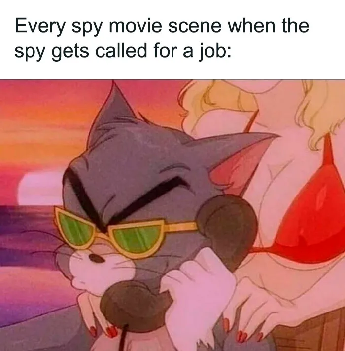 60 Tom & Jerry Memes That You Can Relate To