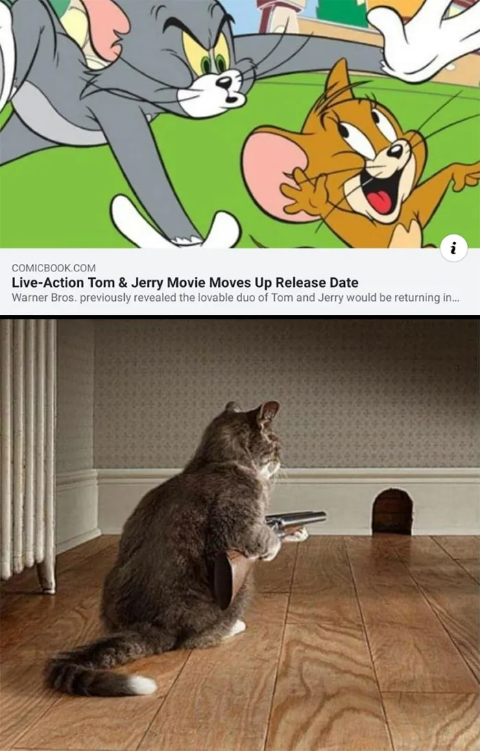 60 Tom & Jerry Memes That You Can Relate To