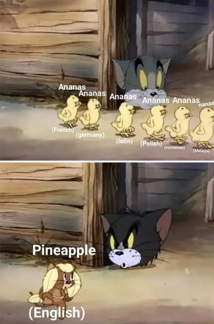 60 Tom & Jerry Memes That You Can Relate To