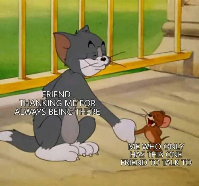 60 Tom & Jerry Memes That You Can Relate To