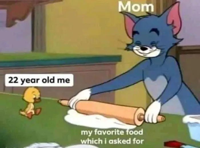 60 Tom & Jerry Memes That You Can Relate To
