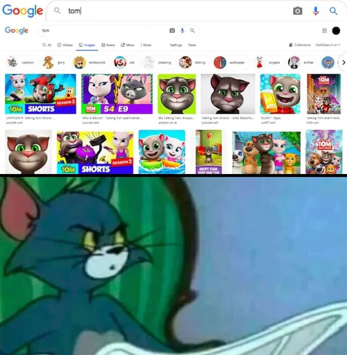 60 Tom & Jerry Memes That You Can Relate To