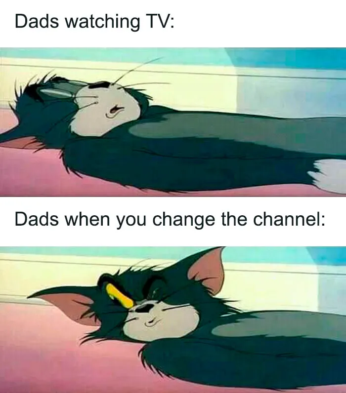 60 Tom & Jerry Memes That You Can Relate To