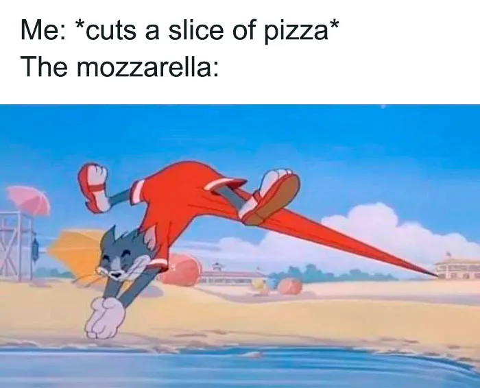 60 Tom & Jerry Memes That You Can Relate To
