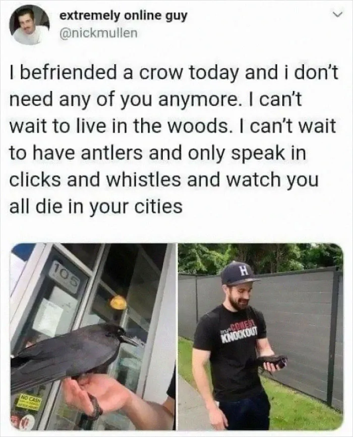 Ok