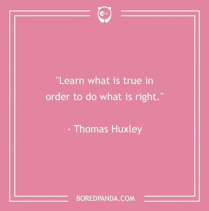 195 Truth Quotes To Help Filter Out The Lies Around You