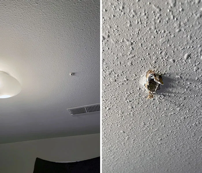 El vecino de arriba ha disparado un arma accidentalmente y ha atravesado el techo de nuestro dormitorio