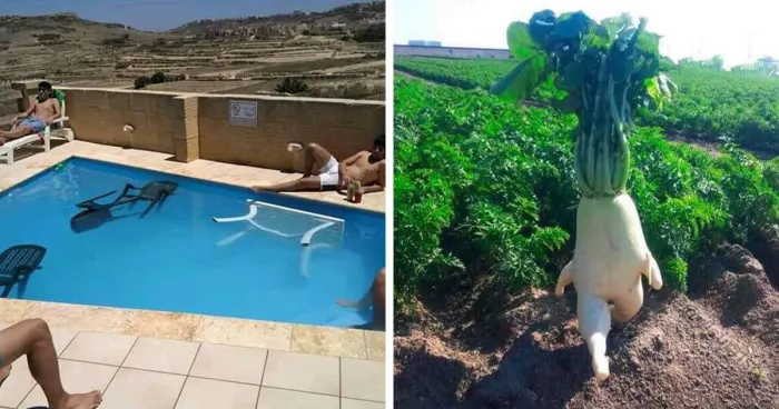 “Unusual Images”: 30 Of The Most Comically Bizarre Pics Shared By This Facebook Page