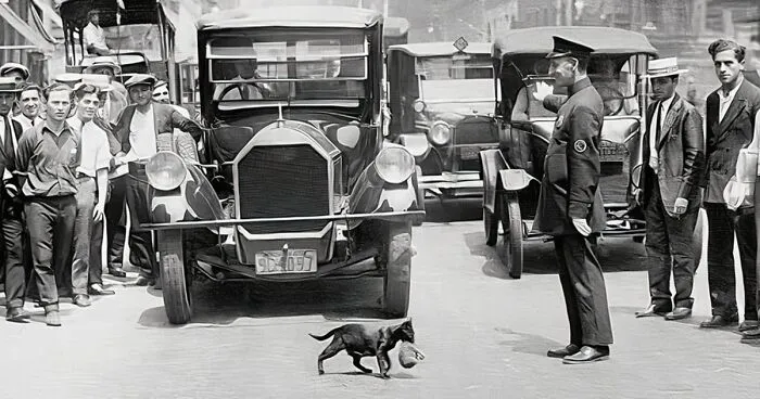 30 Vintage Photos Of Cats Posing With Famous People And Interesting Personalities (New Pics)
