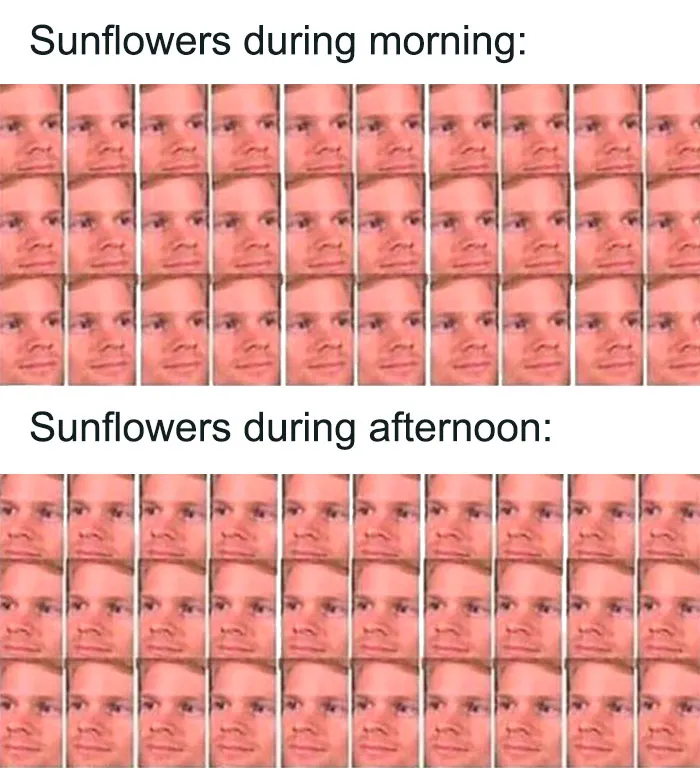 70 Weather Memes That’ll Give You Something To Relate To