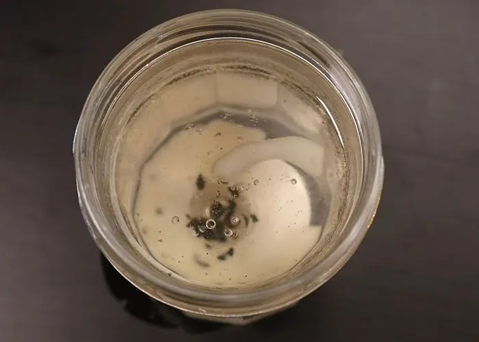 35 Must-Know ‘This Actually Works’ Tricks, As Shared By People Online