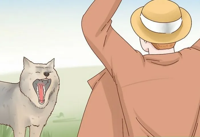 Hey Pandas, What’s The Weirdest Photo From Wikihow Without Context?