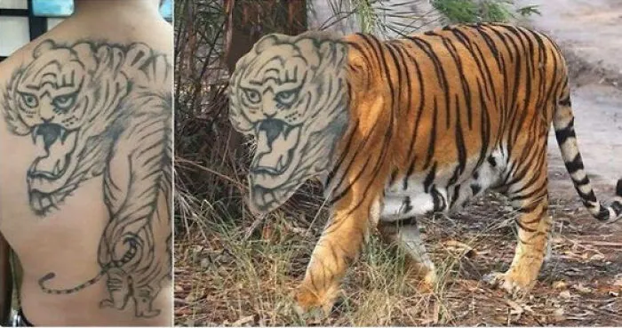 25 Personas que no se dan cuenta de lo horribles que son sus tatuajes