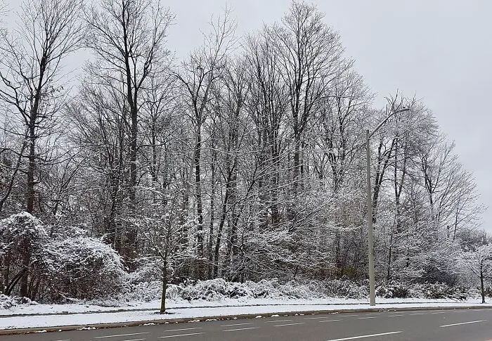 Along The Road In Kitchener