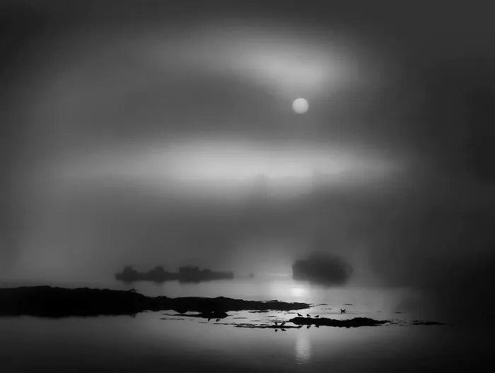 Sunrise And Fog By Mitchell Anoli
